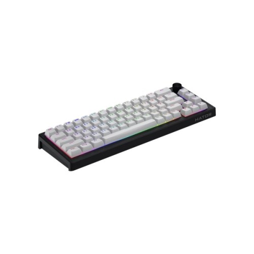 Клавіатура Hator Skyfall 65 MAG ULTRA 8K Aurum Ice RGB USB UA Black/White (HTK1860UA)