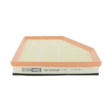 Повітряний фільтр для автомобіля Champion CAF100934P