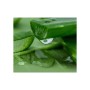 Маска для обличчя Lululun Premium Face Mask Okinawa Aloe Заспокійлива з екстрактом алое 1 шт (4582305069525)