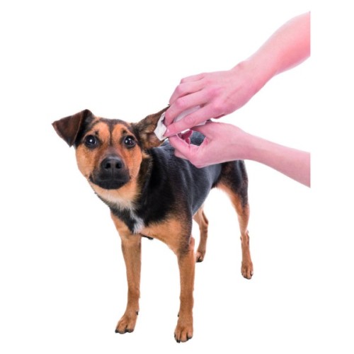 Вологі серветки для тварин Trixie для догляду за вухами 30 шт (4011905294162)