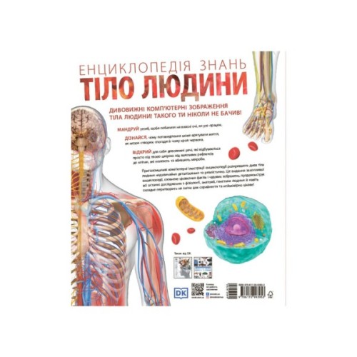 Книга Енциклопедія знань. Тіло людини - Філіп Базеліс, Пітер Крісп, Стів Хоффман Ранок (9786170993953)