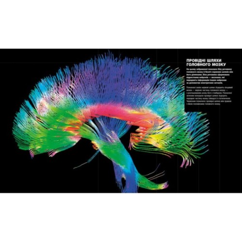 Книга Енциклопедія знань. Тіло людини - Філіп Базеліс, Пітер Крісп, Стів Хоффман Ранок (9786170993953)