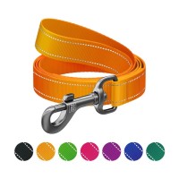 Повідець для собак WAUDOG Nylon Mono, світловідбивний M помаранчевий (52184)
