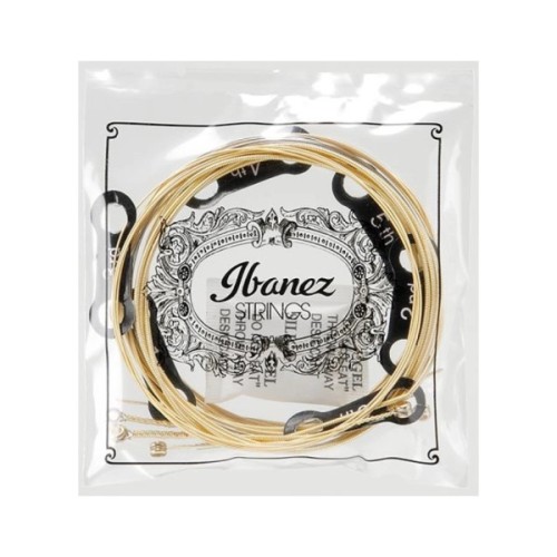 Струни для гітари Ibanez IACS6C Acoustic Guitar Strings 12-53 (301879)