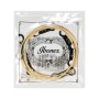 Струни для гітари Ibanez IACS6C Acoustic Guitar Strings 12-53 (301879)