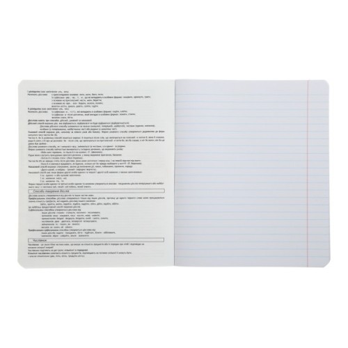 Зошит ZiBi предметний ANIME 48 аркушів лінія, українська мова (ZB.1704-14)