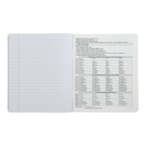 Зошит ZiBi предметний ANIME 48 аркушів лінія, українська мова (ZB.1704-14)