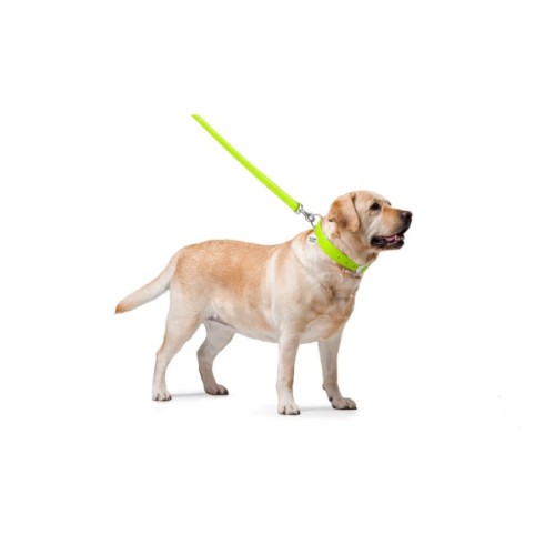 Повідець для собак WAUDOG Glamour шкіряний M-XXL салатовий (33765)