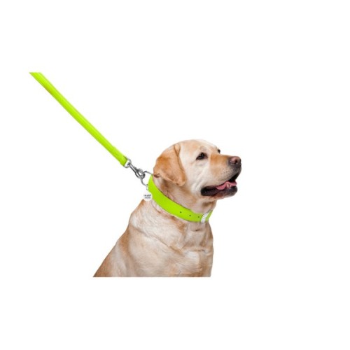 Повідець для собак WAUDOG Glamour шкіряний M-XXL салатовий (33765)