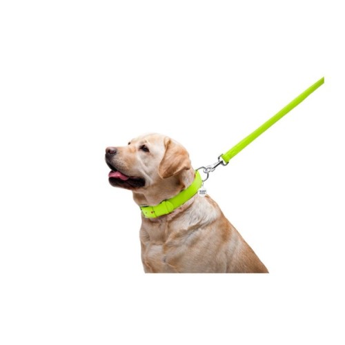 Повідець для собак WAUDOG Glamour шкіряний M-XXL салатовий (33765)