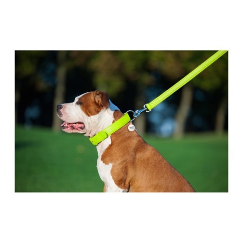 Повідець для собак WAUDOG Glamour шкіряний M-XXL салатовий (33765)