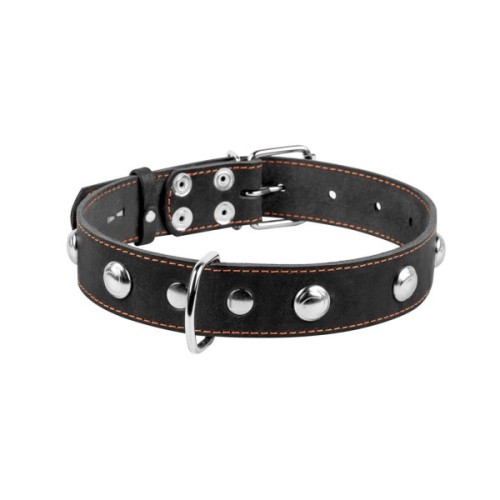 Нашийник для тварин Collar одинарний з прикрасами Ш 35 мм Д 48-63 см чорний (02711)