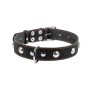 Нашийник для тварин Collar одинарний з прикрасами Ш 35 мм Д 48-63 см чорний (02711)