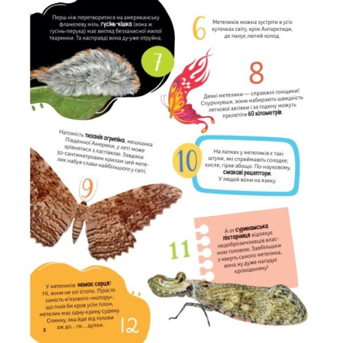 Книга Комахи. 100 цікавих фактів - Ольга Пилипенко Vivat (9789669829856)