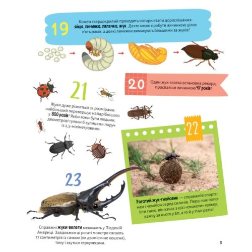 Книга Комахи. 100 цікавих фактів - Ольга Пилипенко Vivat (9789669829856)