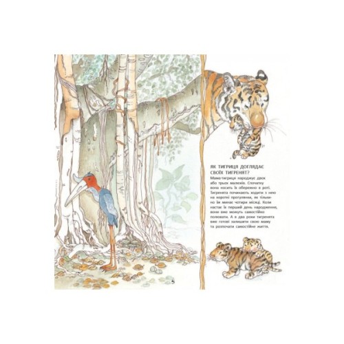 Книга Тигреня Сілія - Даніела де Лука Ранок (9786170931696)