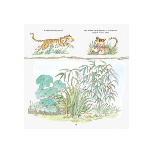 Книга Тигреня Сілія - Даніела де Лука Ранок (9786170931696)