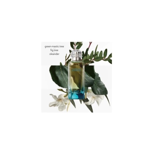 Туалетна вода Hermes Un Jardin en Mediterranee 100 мл (3346131210015)