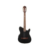 Гітара класична Ibanez TOD10N-TKF (234181)
