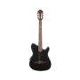 Гітара класична Ibanez TOD10N-TKF (234181)