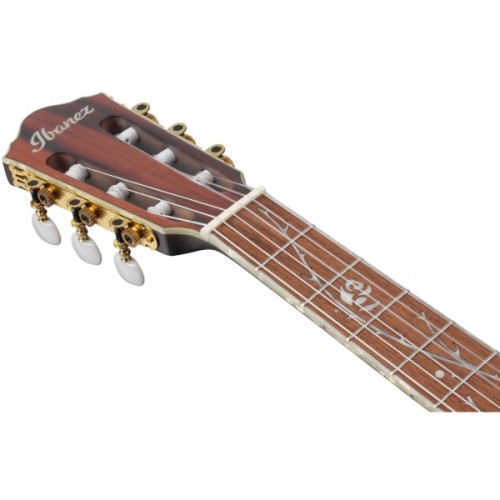 Гітара класична Ibanez TOD10N-TKF (234181)