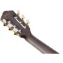 Гітара класична Ibanez TOD10N-TKF (234181)