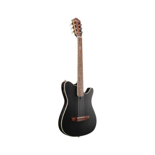 Гітара класична Ibanez TOD10N-TKF (234181)