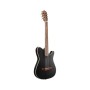 Гітара класична Ibanez TOD10N-TKF (234181)