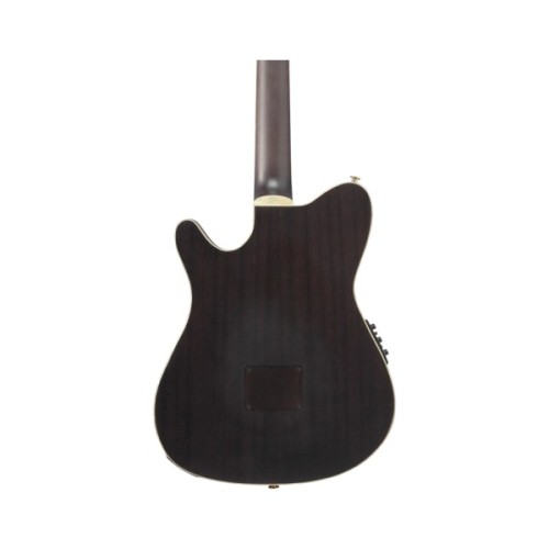 Гітара класична Ibanez TOD10N-TKF (234181)