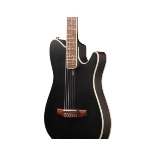 Гітара класична Ibanez TOD10N-TKF (234181)