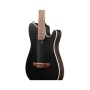 Гітара класична Ibanez TOD10N-TKF (234181)