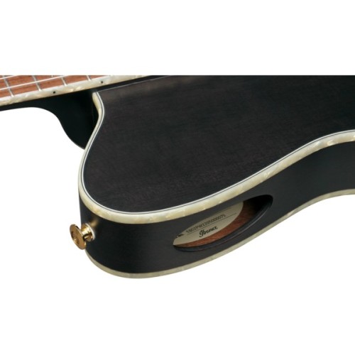 Гітара класична Ibanez TOD10N-TKF (234181)