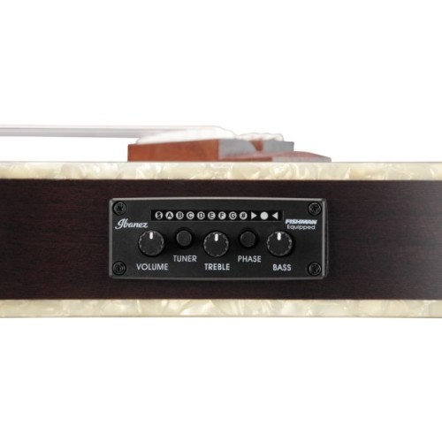 Гітара класична Ibanez TOD10N-TKF (234181)