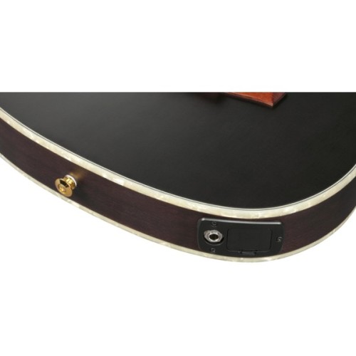 Гітара класична Ibanez TOD10N-TKF (234181)