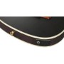 Гітара класична Ibanez TOD10N-TKF (234181)