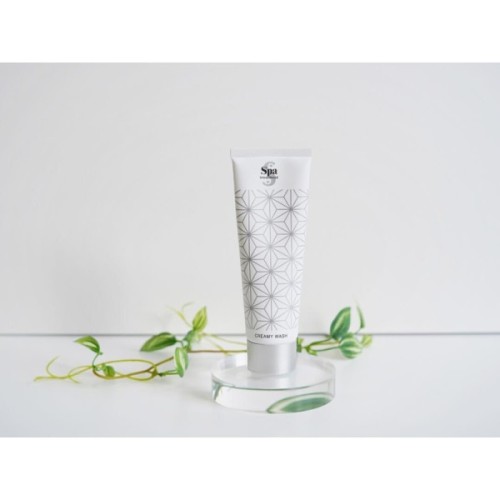 Крем для вмивання SPA Treatment Creamy Wash 120 г (4544877508550)