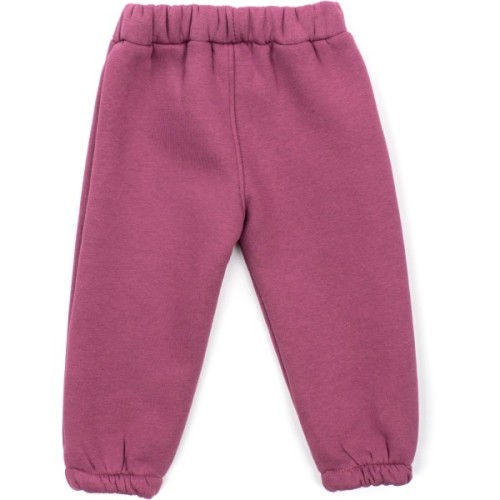 Штани дитячі Joi флісові (BE-801-98G-violet)