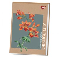 Альбом для малювання Yes А4 40 аркушів клеєний білила "Lily" крафт (130584)