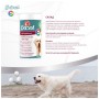 Вітаміни для собак 8in1 Excel Multi Vitamin Adult мультивітамін 70 шт (4048422183877)
