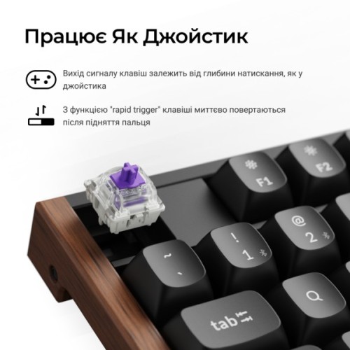 Клавіатура Keychron K10 HE Magnetic Switch RGB UA Black (K10H-F1-UA)