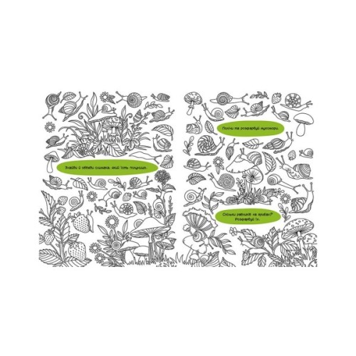 Книга Знаходильні розмальовки. Маленькі істоти Ранок (9789667507879)