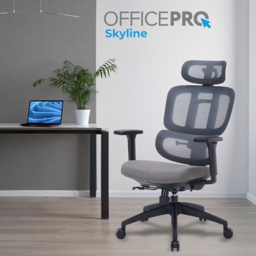 Офісне крісло OfficePro Skyline OC580-B-DG-DG (OC580-B-DG-DG)