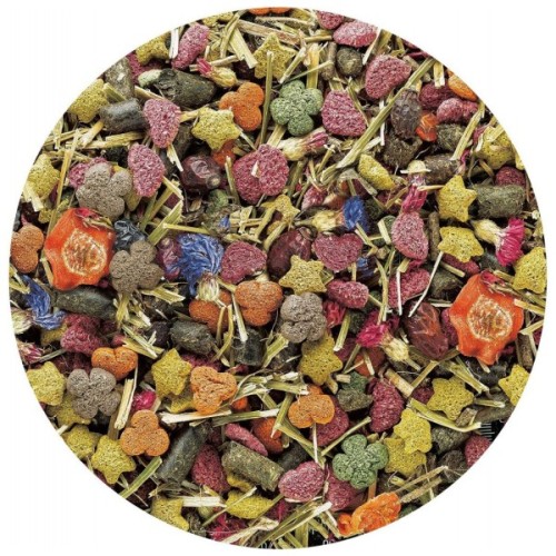 Корм для гризунів Vitakraft Emotion Beauty Selection для шиншил для шкіри та шерсті 600 г (4008239337580)