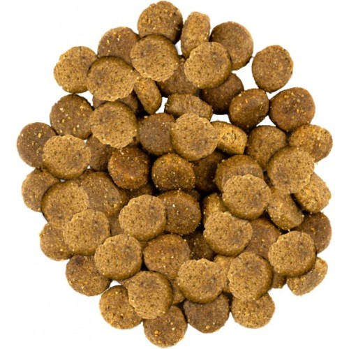 Сухий корм для собак Savory Medium Breed rich in Fresh Turkey and Lamb 1 кг (4820232630259)