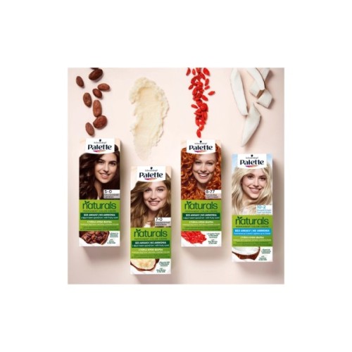 Фарба для волосся Palette Naturals без аміаку 3-68 Шоколадно-каштановий (3838824171548)