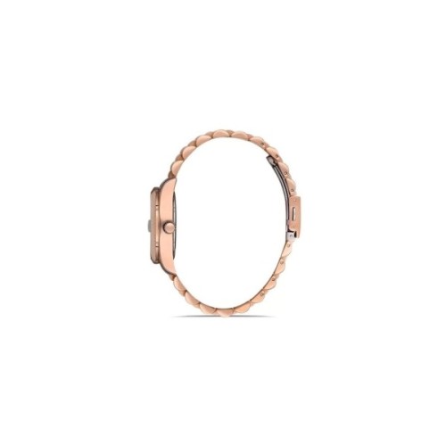 Наручний годинник Ferro F40094A-C