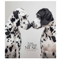 Зошит Школярик Main portrait 96 аркушів клітинка (096-3476K)