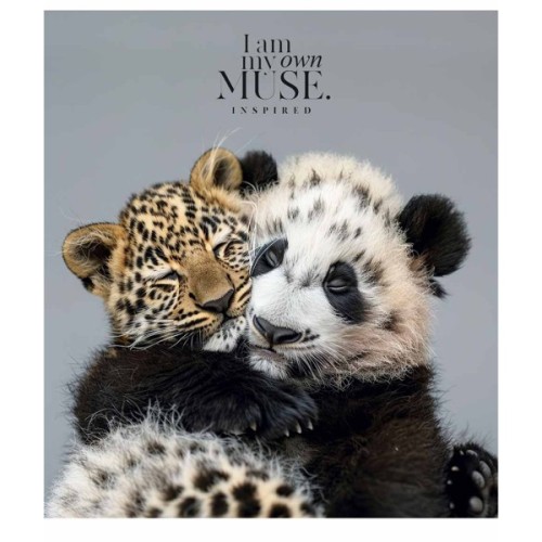 Зошит Школярик Main portrait 96 аркушів клітинка (096-3476K)