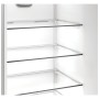 Холодильник Whirlpool WHK25364XBR4E