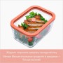 Харчовий контейнер Status Viva Набір з 4-х предметів + ручний вакуумний насос лососевий (131200)